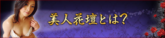 美人花壇とは